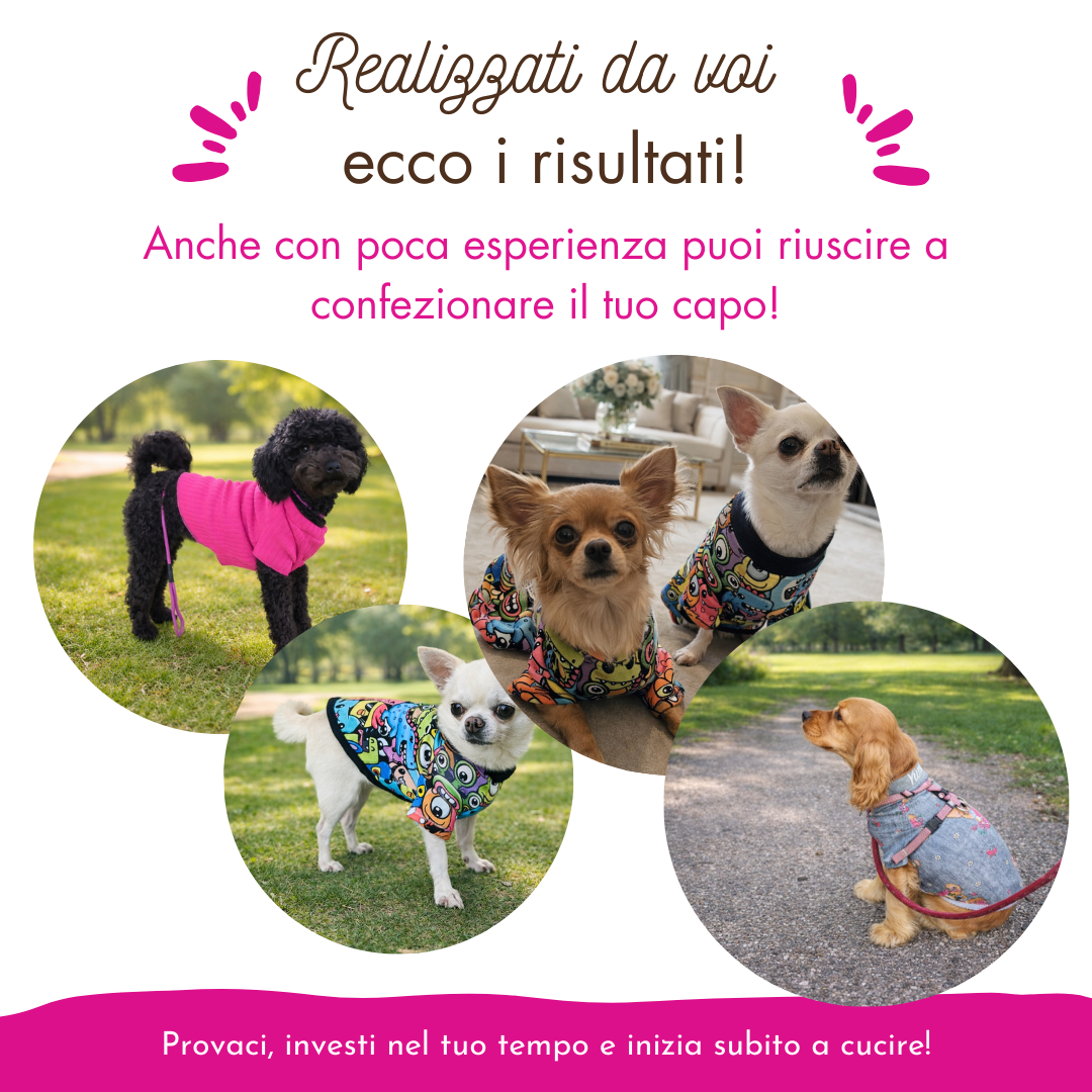 T shirt cagnolino CARTAMODELLO Pet-love  taglia piccola-media S a XL